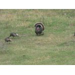 V toku,jaro lasky cas.