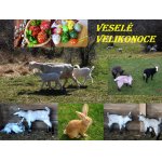 VESELÉ VELIKONOČNÍ SVÁTKY.