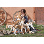 Naše malé radosti :)