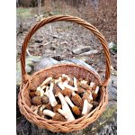 Čas kačenek nastal