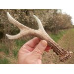 Už by netrvalo dlouho a opět by zmizel v čerstvé zeleni