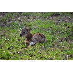 ASI NA MĚ ZAPOMNĚLI,