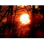 Vycházející slunce