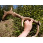 Měl na sobě několik kapek ještě nezaschlé lepkavé barvy