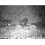 Selátka
