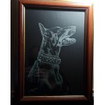 portrét Dobermana