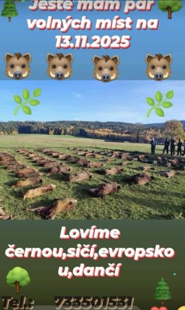 Poplatková naháňka