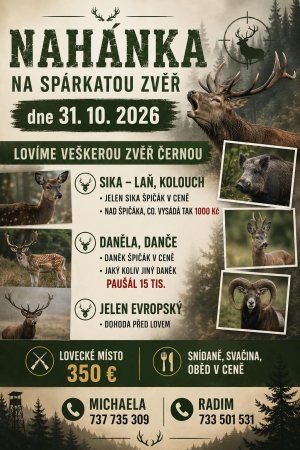 Poplatková naháňka