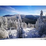 Povolenka k lovu zvěře - 2026 - Javorníky