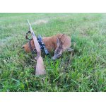 Povolenka k lovu 2026/2027 