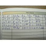 Jezevčík drsnosrstý standart