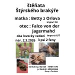 štěňata Štýrského brakýře