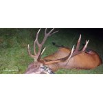 Povolenka 2026 Jeseník - Rychlebské hory