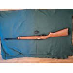 Ruger 10/22