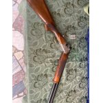 Beretta -Broková kozlice