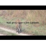 Náš prvý tiger v Jim Corbett.