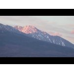 Vysoké Tatry medvedˇ,líška,vysoká,srnčia.