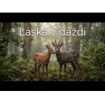 Toto ste v lese len tak nevideli. Srnčia láska v daždi.