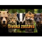 Skrytý svet divočiny.
