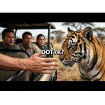 Tiger tak blízko, že sa ho môžeš dotknúť.