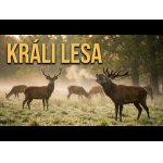 Od mladíkov po obrovské paroháče: Fascinujúci svet jeleňov.
