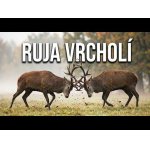 Ruja vrcholí: Brutálny stret jeleňov na svitaní.